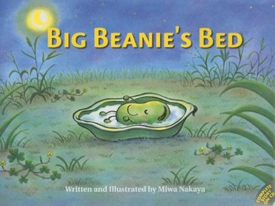 Picture of Big Beanie's Bed