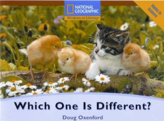 Picture of Which One Is Different?