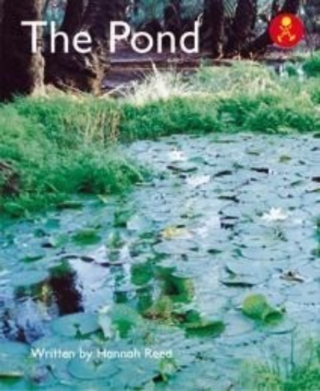 Picture of Ak+ L5: The Pond