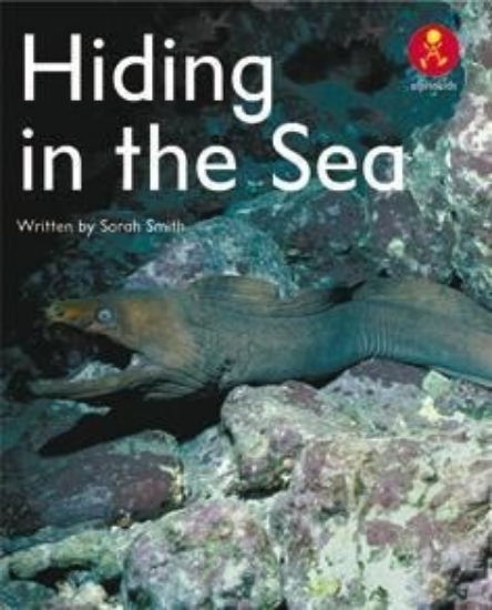 Picture of Ak+ L8: Hiding In The Sea