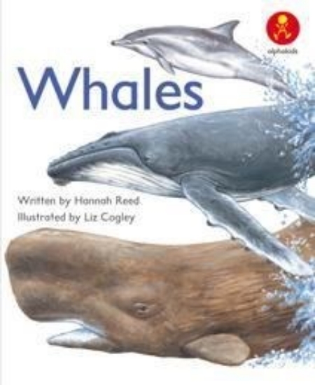 Picture of Ak+ L9: Whales
