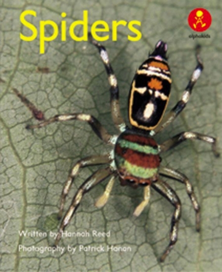 Picture of Ak+ L10: Spiders