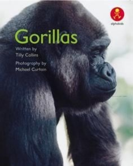 Picture of Ak+ L11: Gorillas