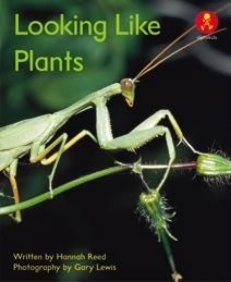 Picture of Ak+ L12: Looking Like Plants