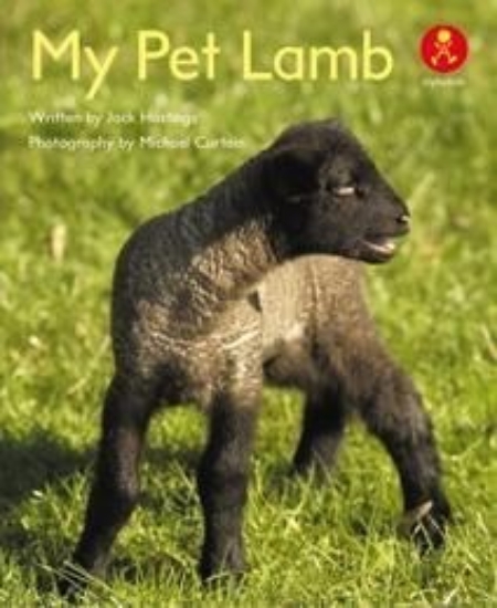 Picture of Ak+ L12: My Pet Lamb
