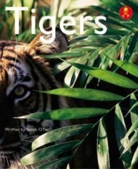 Picture of Ak+ L13: Tigers