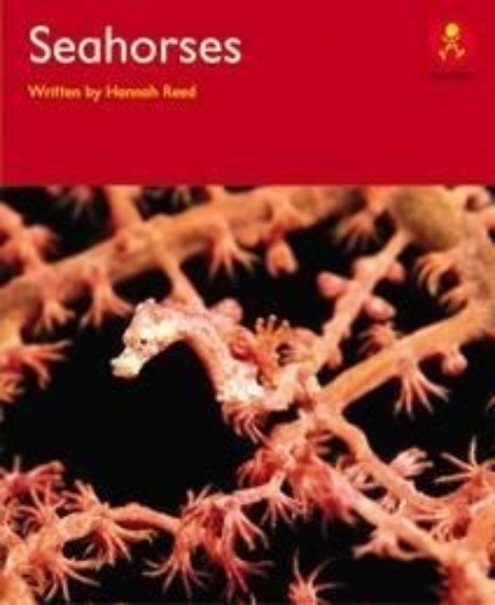 Picture of Ak+ L14: Seahorses