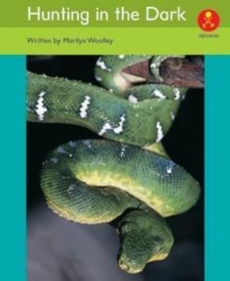 Picture of Ak+ L15: Hunting In The Dark