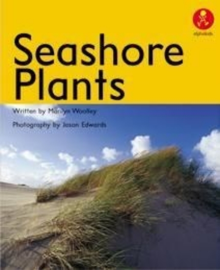 Picture of Ak+ L16: Seashore Plants