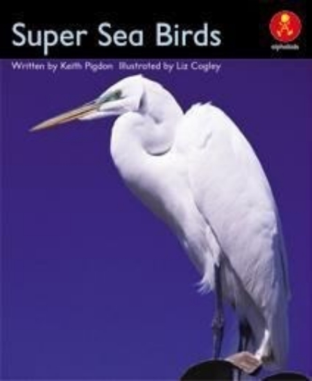 Picture of Ak+ L17: Super Sea Bird