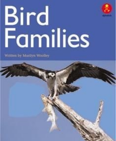 Picture of Ak+ L18: Bird Families