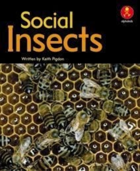 Picture of Ak+ L22: Social Insects