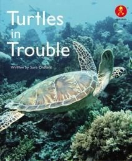 Picture of Ak+ L23: Turtles In Trouble