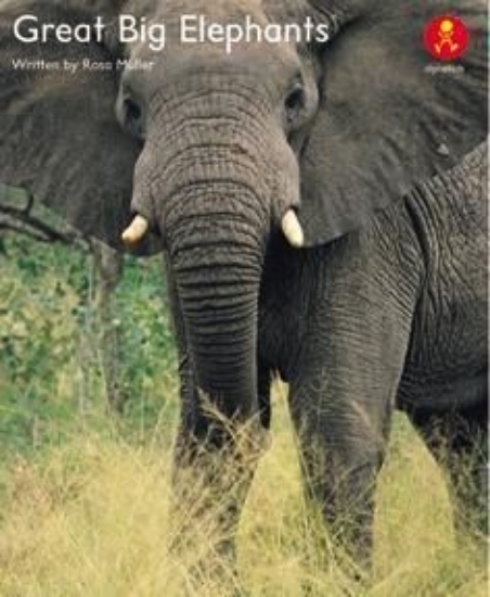 Picture of Ak+ L23: Great Big Elephants