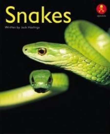 Picture of Ak+ L24: Snakes