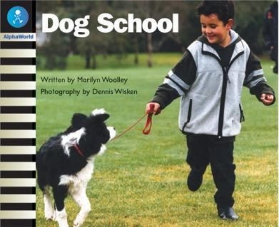 Picture of Aw L6: Dog School