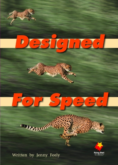 Picture of Fs Designed For Speed L22