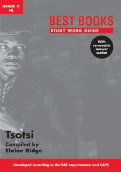 Picture of Study Work Guide: Tsotsi Gr: 11 HL Novel & Film St