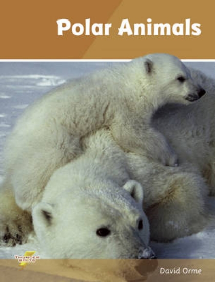 Picture of Polar Animals