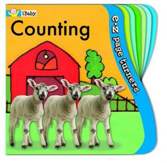 Picture of E-Z Page Turners: Counting