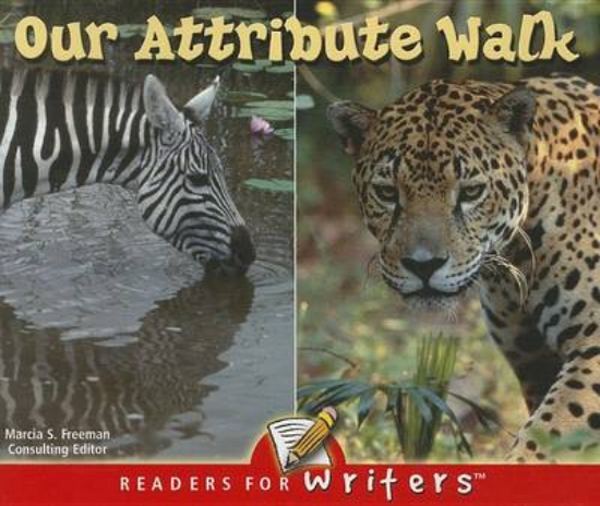 Picture of Our Attribute Walk