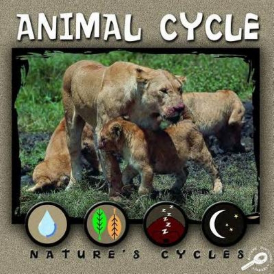 Picture of Animal Cycle