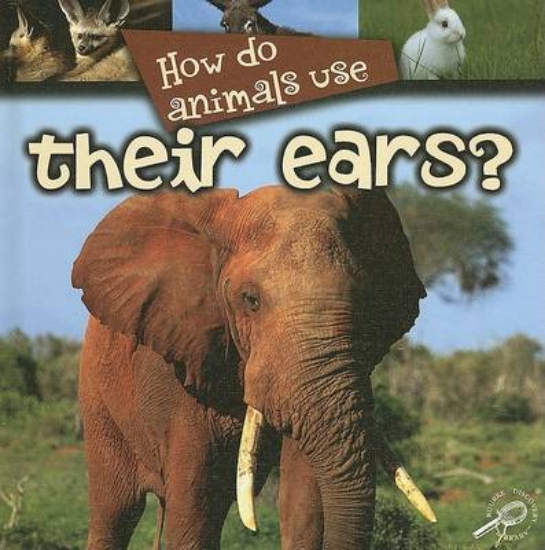Picture of How Do Animals Use Their Ears?