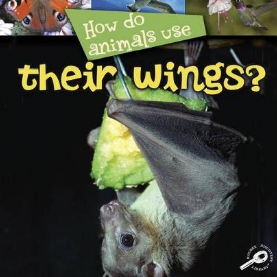 Picture of How Do Animals Use... Their Wings?