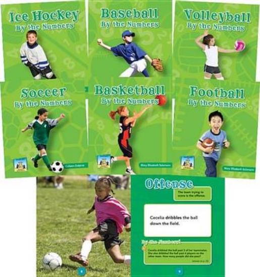 Picture of Team Sports by the Numbers Set