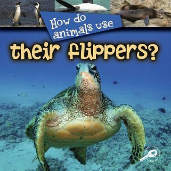 Picture of How Do Animals Use... Their Flippers?
