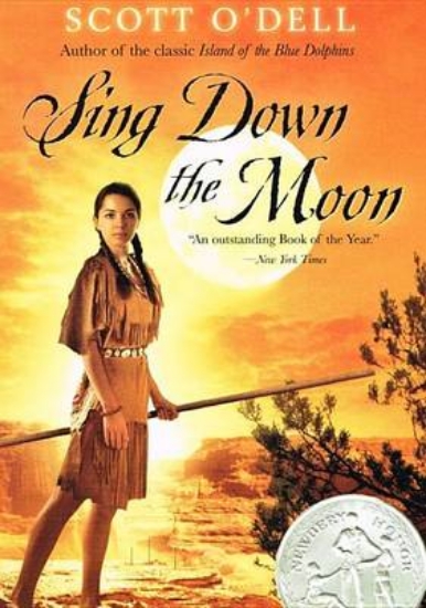 Picture of Sing Down the Moon