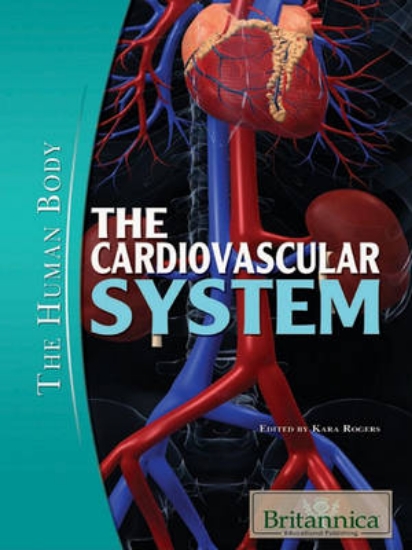 Picture of The Cardiovascular System