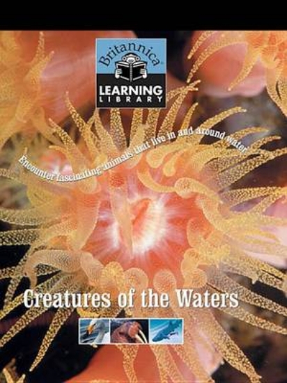 Picture of Creatures of the Waters