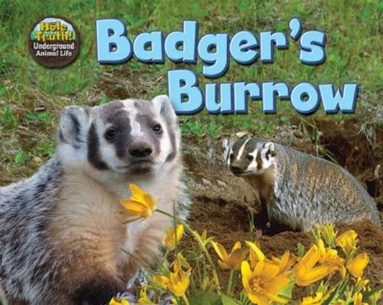 Picture of Badger's Burrow