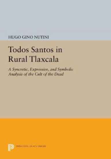 Picture of Todos Santos in Rural Tlaxcala