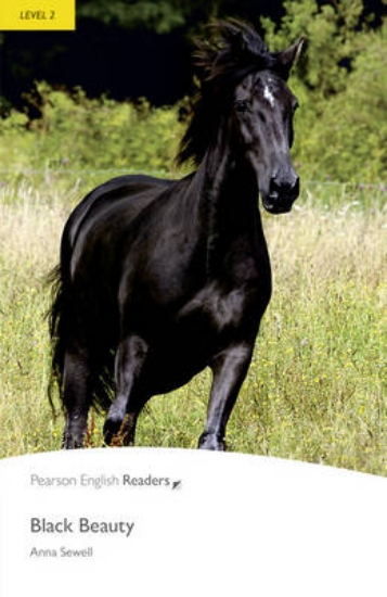 Picture of Black Beauty