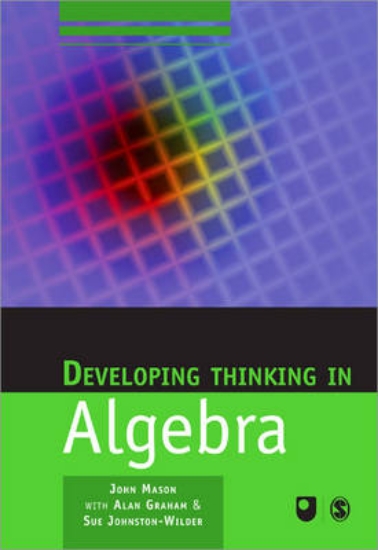 Picture of Developing Thinking in Algebra