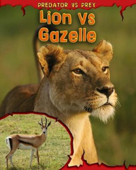 Picture of Lion vs Gazelle