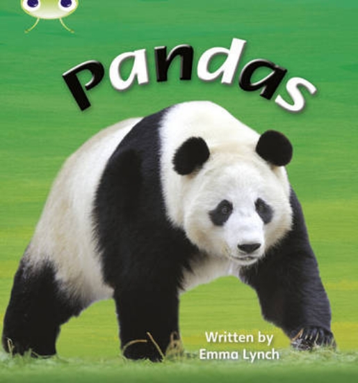 Picture of Bug Club Phonics Bug Non-fiction Set 09 Pandas