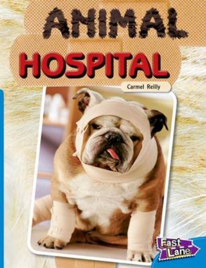 Picture of Animal Hospital Fast Lane Blue Non-Fiction