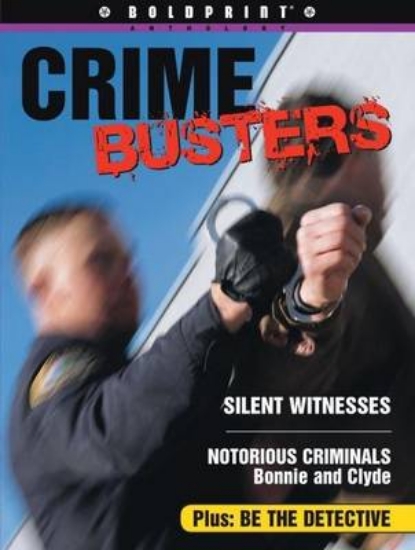 Picture of Crime Busters