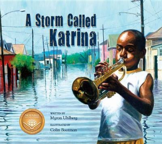 Picture of A Storm Called Katrina