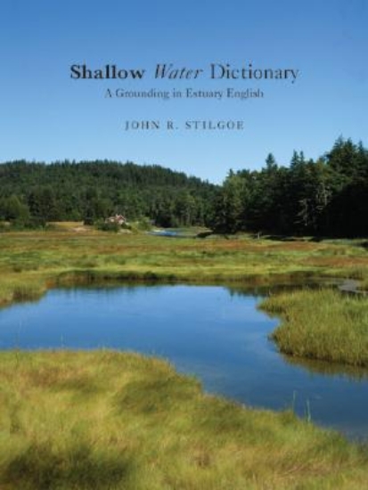 Picture of Shallow Water Dictionary