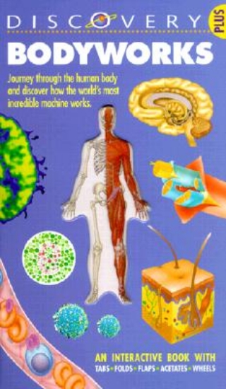 Picture of Bodyworks