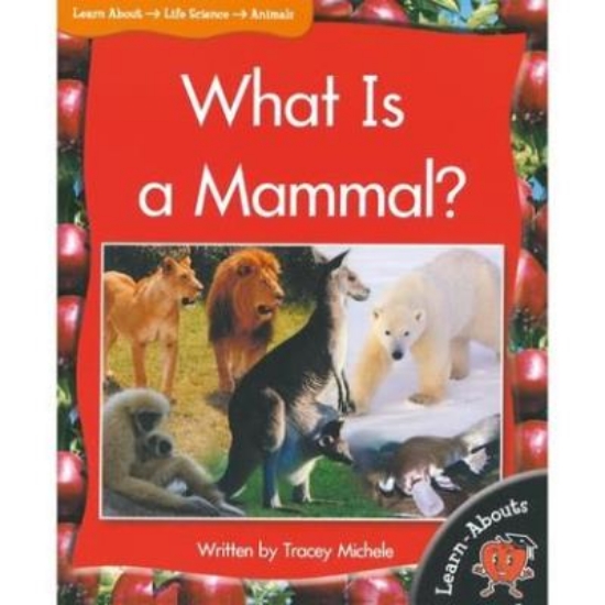 Picture of What Is A Mammal? L15