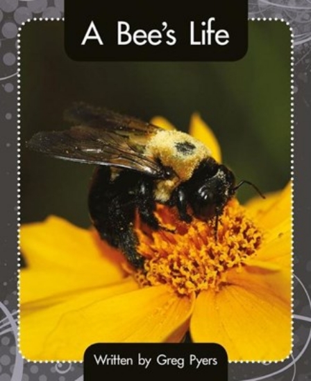 Picture of A Bee'S Life 16