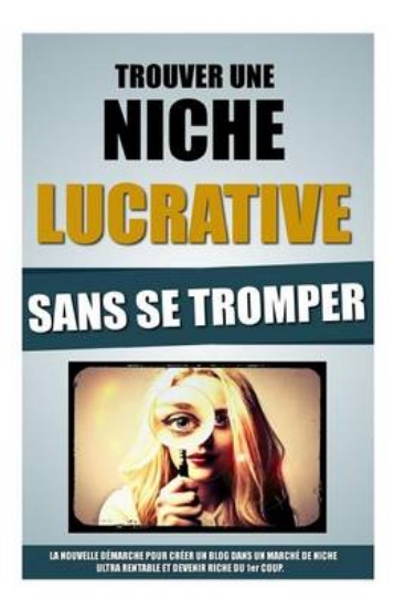 Picture of Trouver Une Niche Lucrative Sans Se Tromper