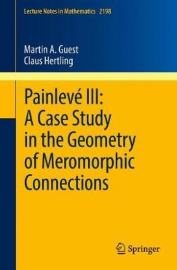 Picture of Painleve III: A Case Study in the Geometry of Mero