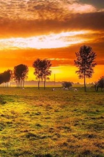 Picture of Sunset Notebook