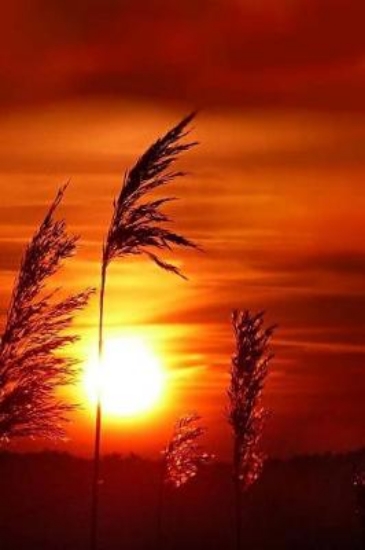 Picture of Sunset Notebook